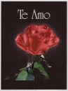 Te Amo 