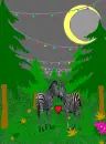 Zebra love