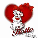 Dalmation heart-Shonna