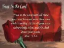 Trust in the lord