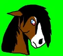 horse