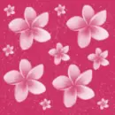 pink flowers