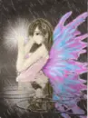 pink fairy