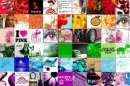 color icons