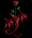 dragon with rose