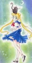 Usagi & Luna