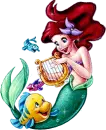 Ariel N Flounder