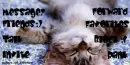 Sleeping Cat