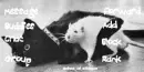Rat and Cat Buddies