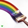 Paint 