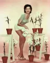 Ann Miller , actress, vintage, spring, flowers