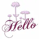 hello