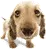 cute