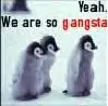 Gansta 