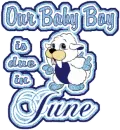 Baby Boy due in June