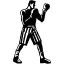 boxer