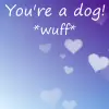 You are a dog