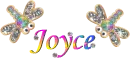 Joyce Dragon Fly
