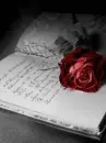 book with red rose