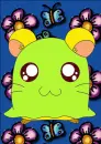 hamtaro