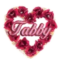 Tabby