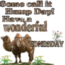 Some call it hump day, Wednesday
