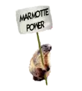 marmotte