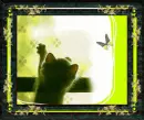 cat butterfly