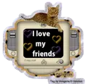 I Love My Friends