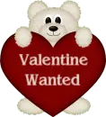 Valentine Wanted bear