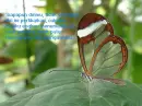siapapun dirimu