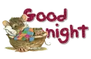 Good night
