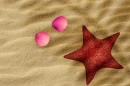 starfish