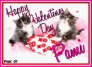 Kitty Vday - Pami