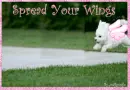 Spread Your Wings (REQUEST for Lacie!)