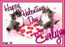 Kitty - Evelyn
