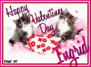 Kitty - Ingrid