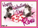 Kitty - Roni