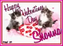 Kitty  - Shonna