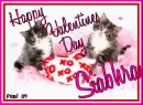Kitty  - Siabhra