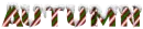snow candy cane autumn