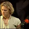 heath ledger rose