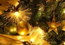Peace on earth