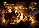 I LOVE TIGERS