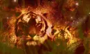 TIGERS ON FIRE