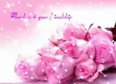 FRIENDSHIP