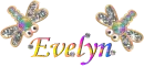 Evelyn Dragon fly
