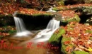 WELCOME TO FALLTIME