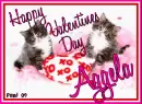 Kitty - Aggela