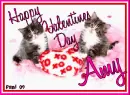Kitty - Amy
